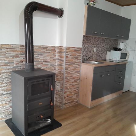 Apartman 1 Ribic Ogulin Exterior foto