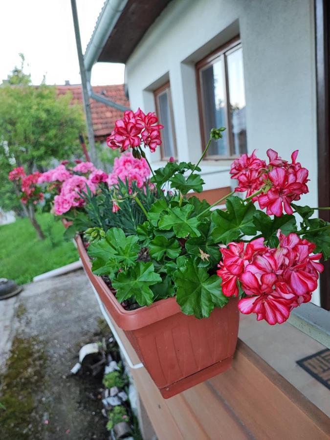 Apartman 1 Ribic Ogulin Exterior foto
