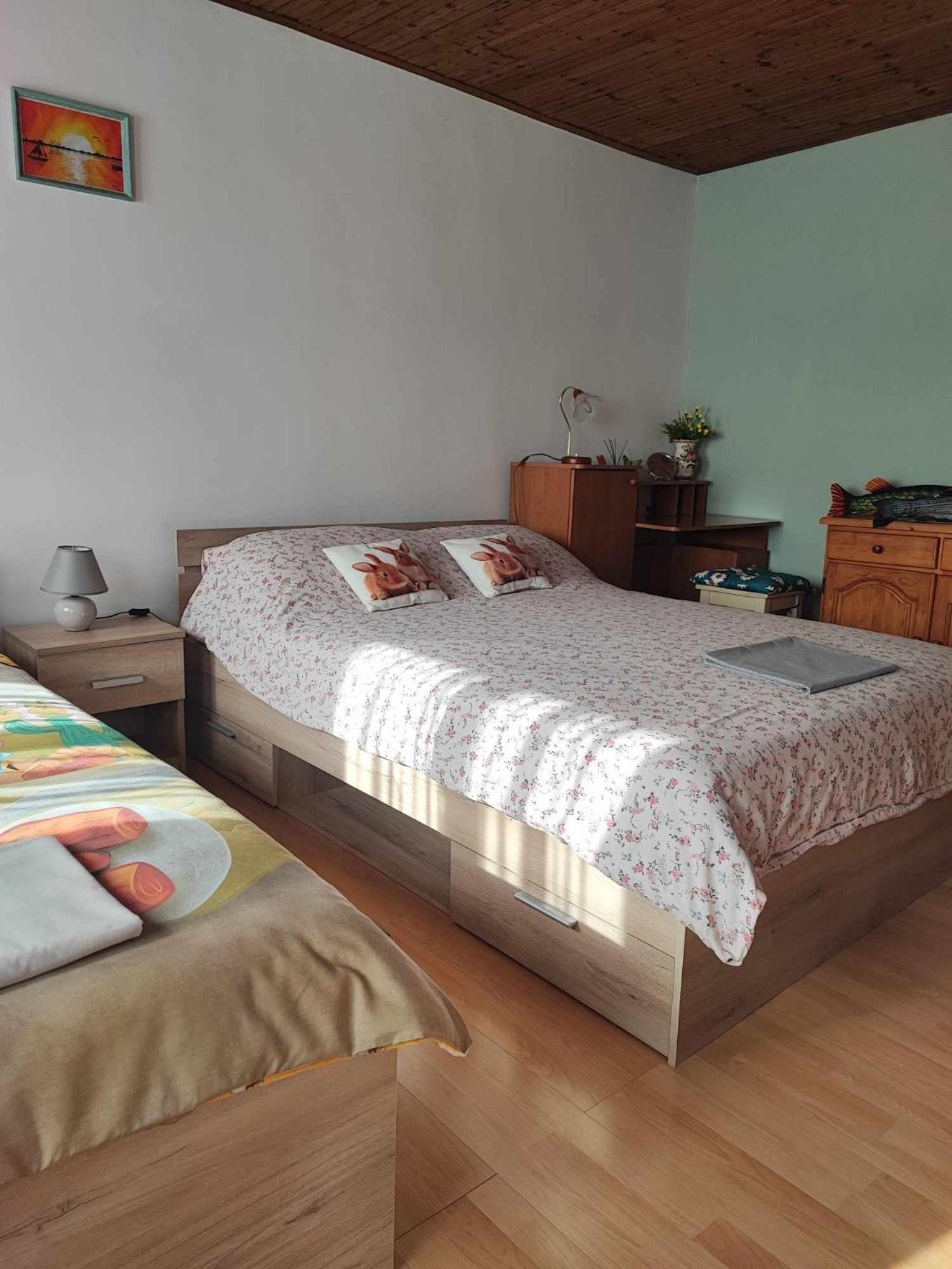Apartman 1 Ribic Ogulin Exterior foto