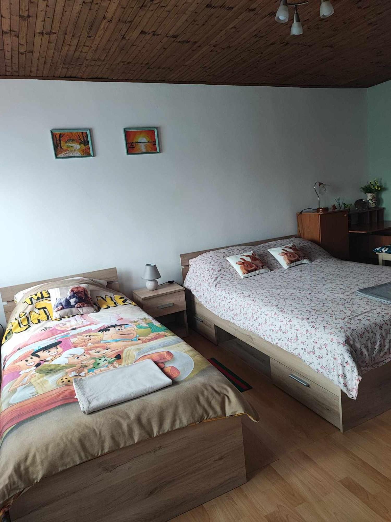 Apartman 1 Ribic Ogulin Exterior foto